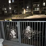 Chelsea Creek